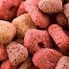 Pet food Ingredients That Can Harm Your Dog