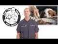 DrGregDVM - The History of Dog Food: Feed Your Pet to Avoid the Vet